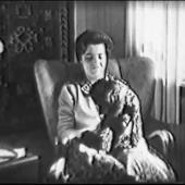 1950-tal
